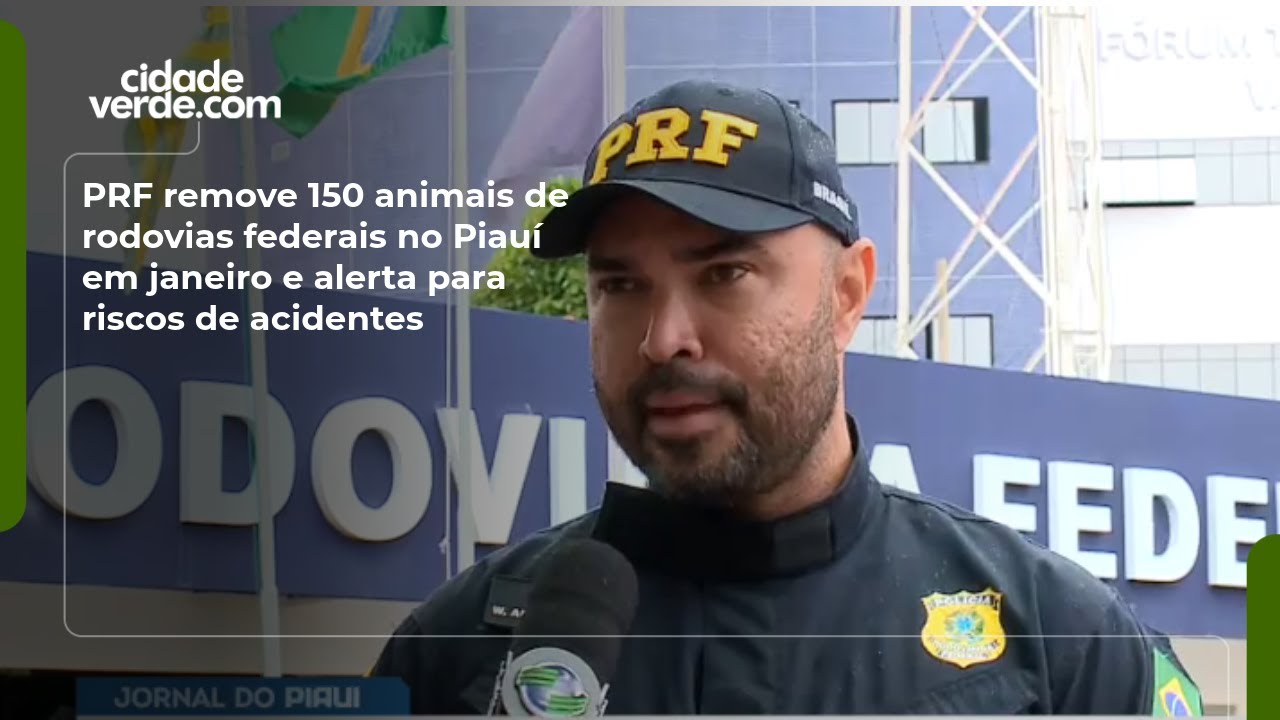 PRF remove 150 animais de rodovias federais no Piauí em janeiro e alerta para riscos de acidentes