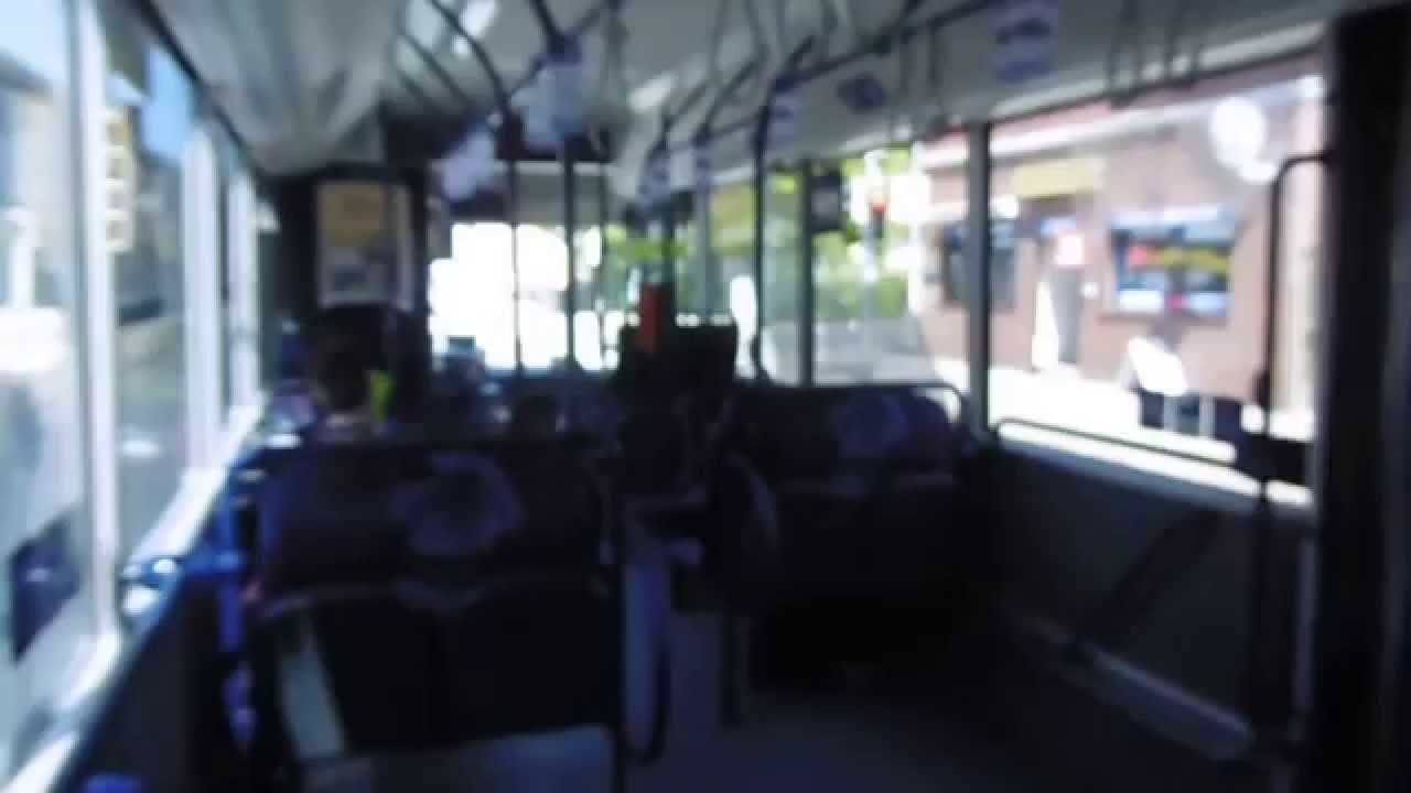 delbus Delmenhorst