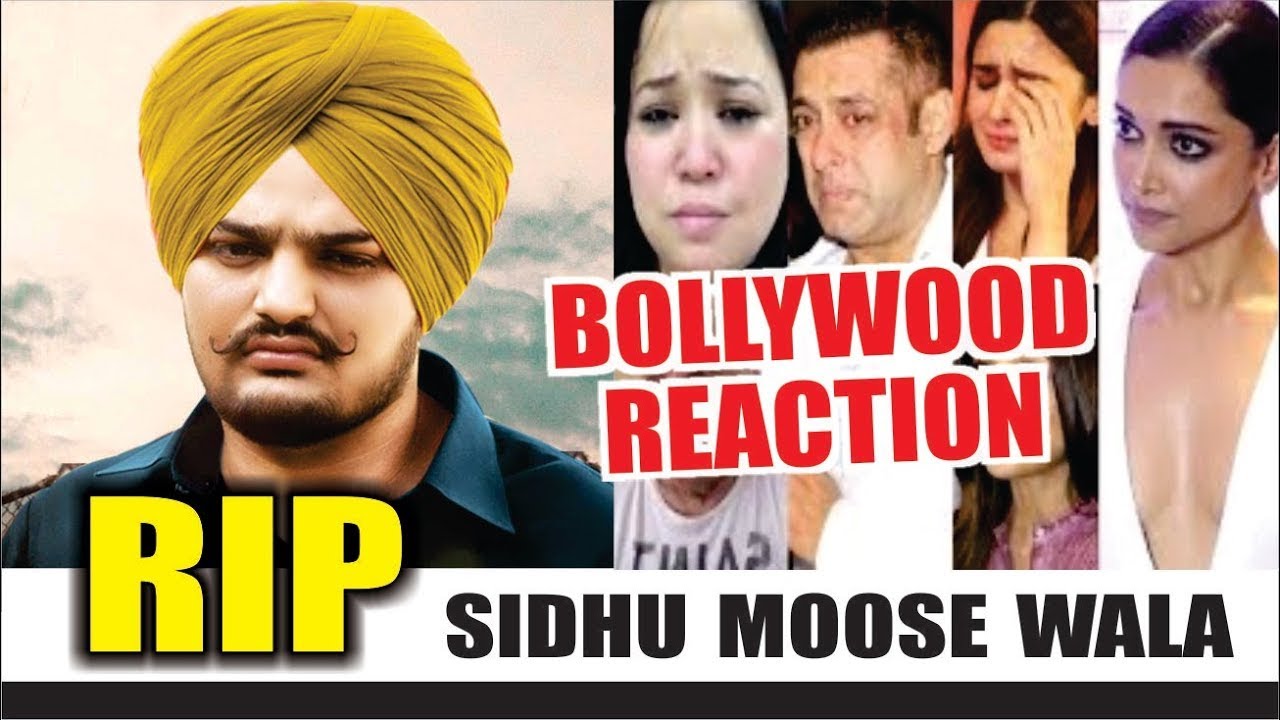 Sidhu Moosewala Reaction Internationally   Bollywood   Pollywood   Unreleased Projects
