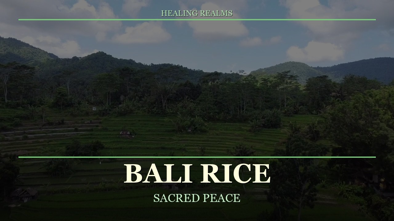 Bali Rice Terraces | Tropical Meditation | 3 Hours Sacred Island Peace