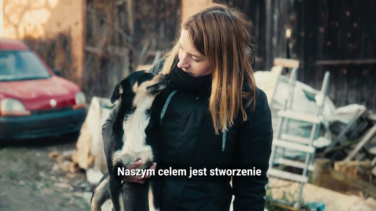 Fundacja WIOZ - podaruj skrzywdzonym psom 1,5%