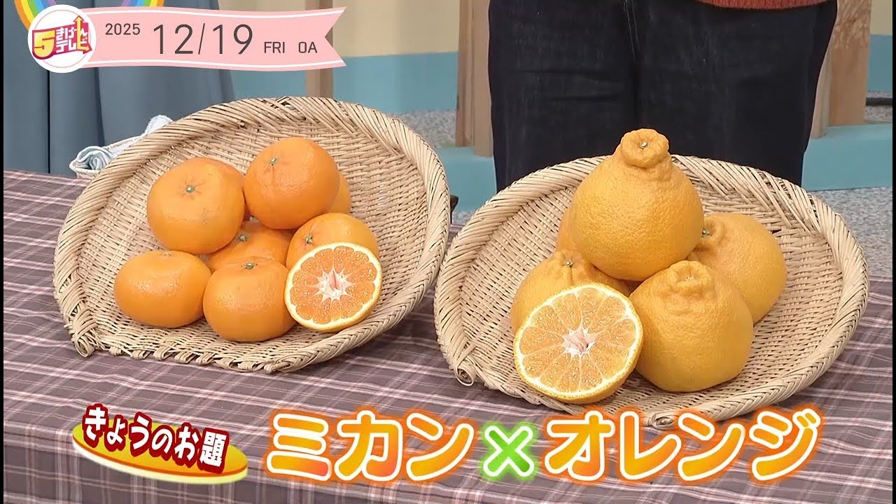 5きげん知恵袋 ～ミカン×オレンジ～