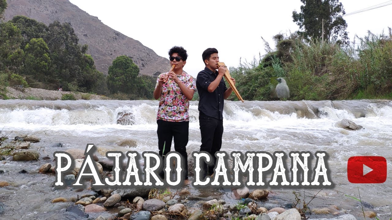 Quena - Zampoñas - Pájaro Campana(Jhunior Arroyo - Marcos Bustamente)