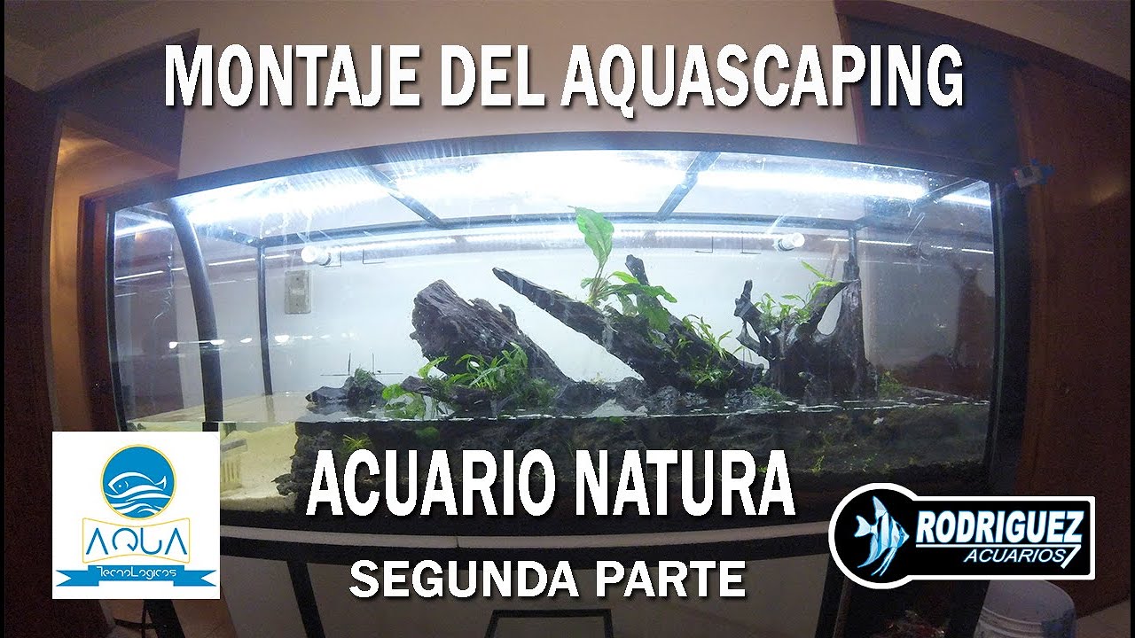AQUASCAPING NATURA SEGUNDA PARTE 250LTS CON AQUATECNOLOGICOS