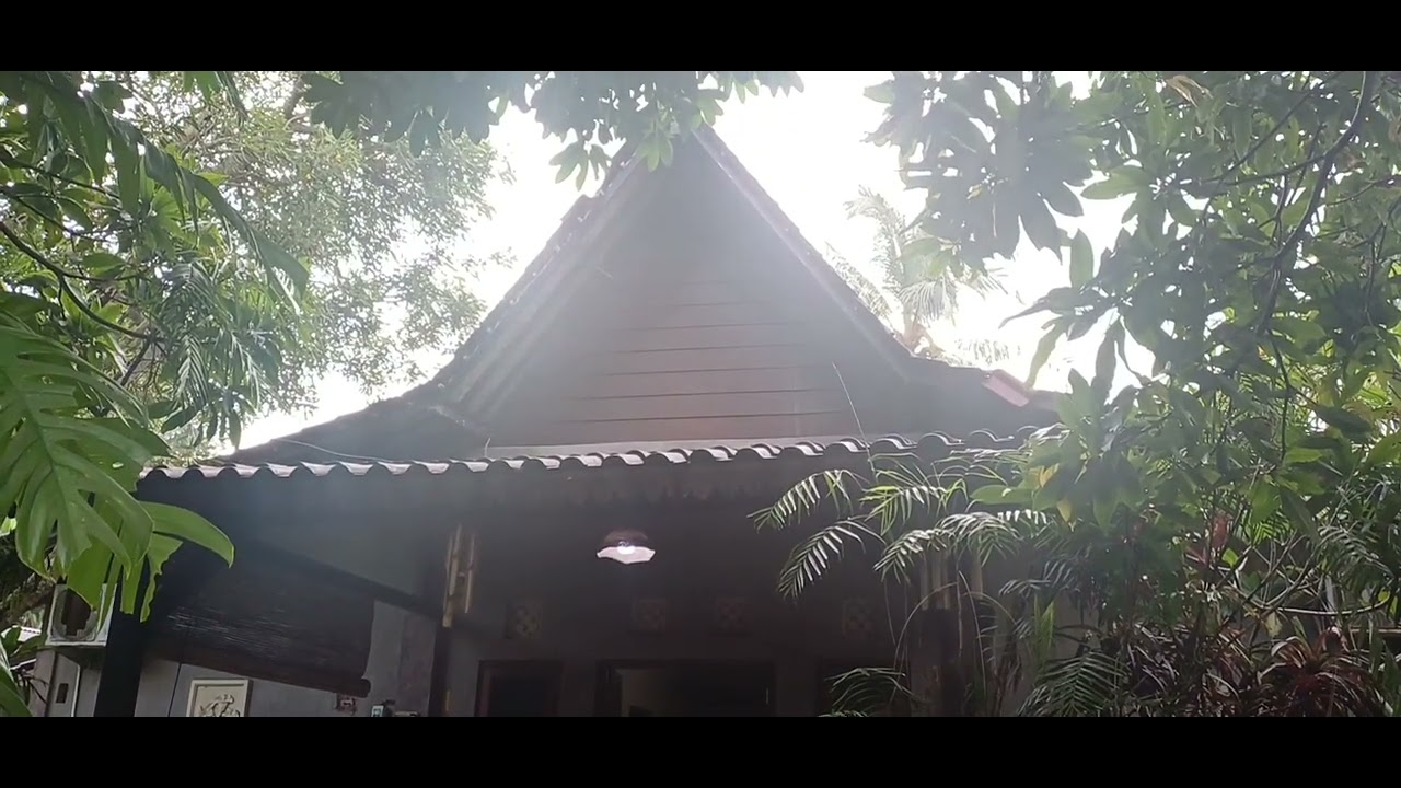 Java Turtle Lodge.Dusun krajan,Sarongan.Kec.pesanggrahan,Kab.Banyuwangi.