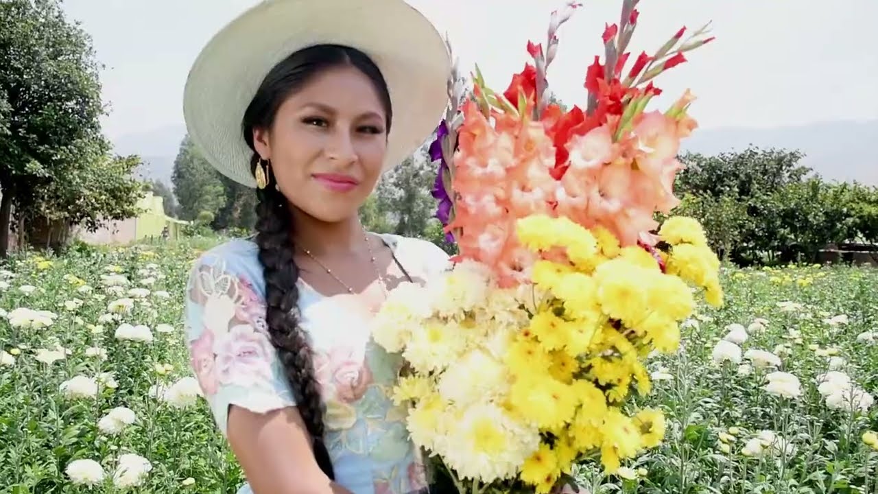LINDA QUILLACOLLO - KALISTIA