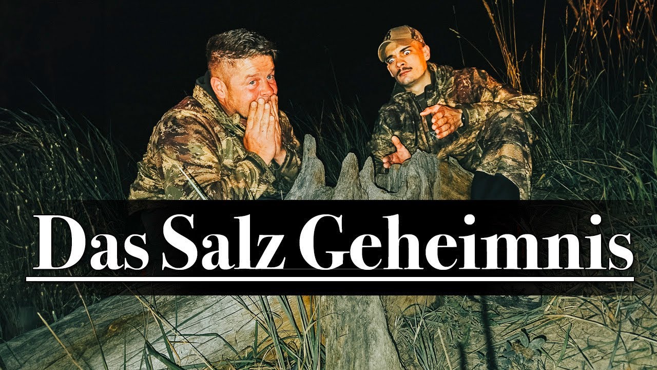 Jagd Tipps  - Wir lüften das Geheimnis des Salzes! Salzlecke Wild anlegen #nordjagd