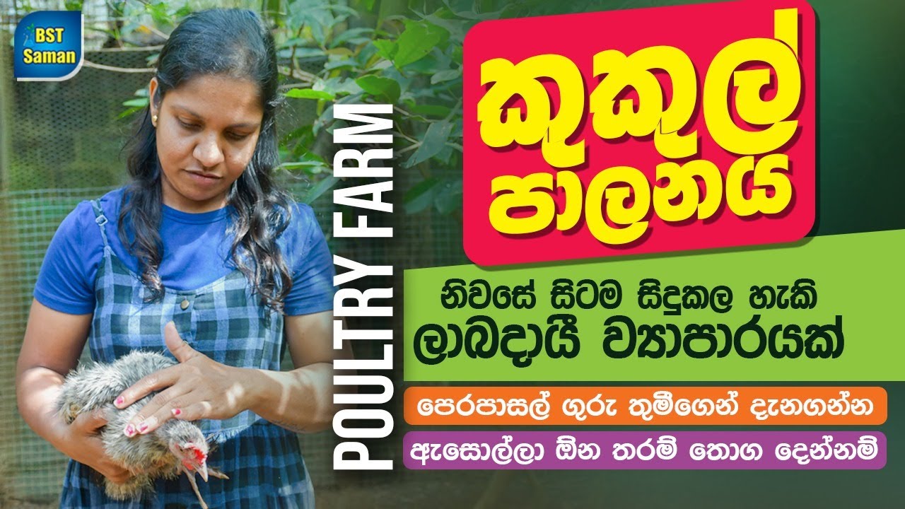 poultry farming,Azolla cultivation ,BST saman,wasana
