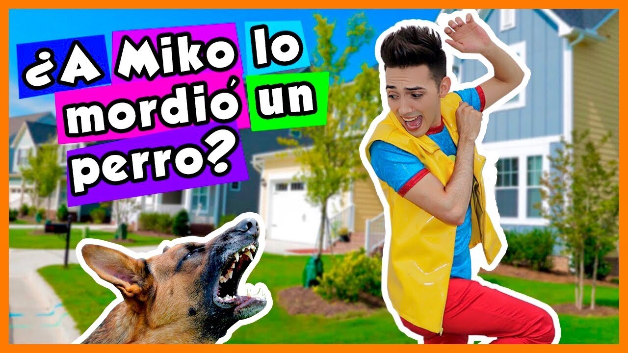 UN PERRO ATACA A MIKO / SHOW PIEDRA PAPEL O TIJERA / ME ASUST&Oacute;  UN PERRO / LOS ANIMALES