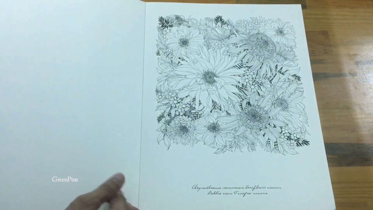 Flip Through | Floribunda: A Flower Coloring Book by Leila Duly