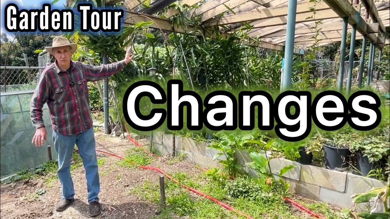 FULL Garden Tour Growing Vegetables In Container Gardening Raised Bed Garden & Woodchip Permaculture