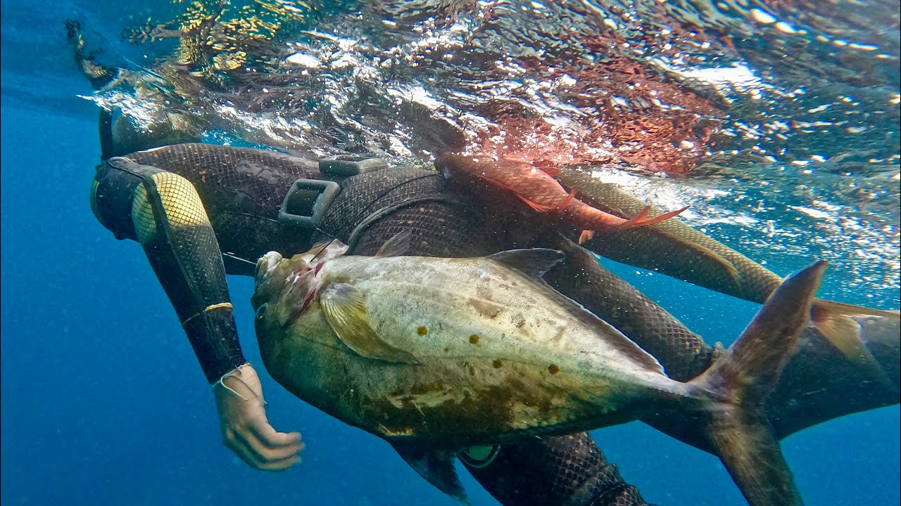 Spearfishing Deep Reef For HUGE Yellowspot, Ukus, And More! | Yellowspot  Papio Catch And Cook