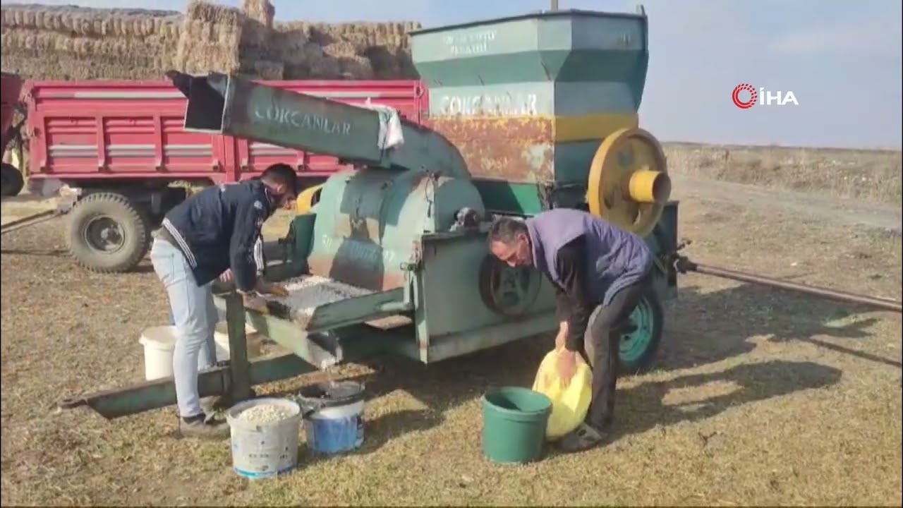 Erzincan yolu üzerindeki 200 yıllık Ata tohumları çok para kazandıracak