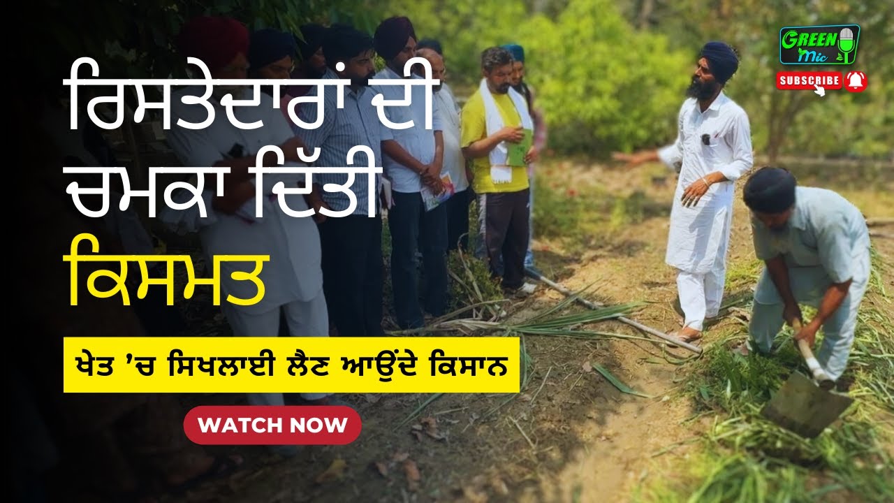 Sustainable agriculture: ਖੁਦ ਹੀ ਨਹੀਂ ਰਿਸਤੇਦਾਰ ਵੀ ਖੱਟ ਰਹੇ ਨਾਮ..#youtubefeed #punjabi #training