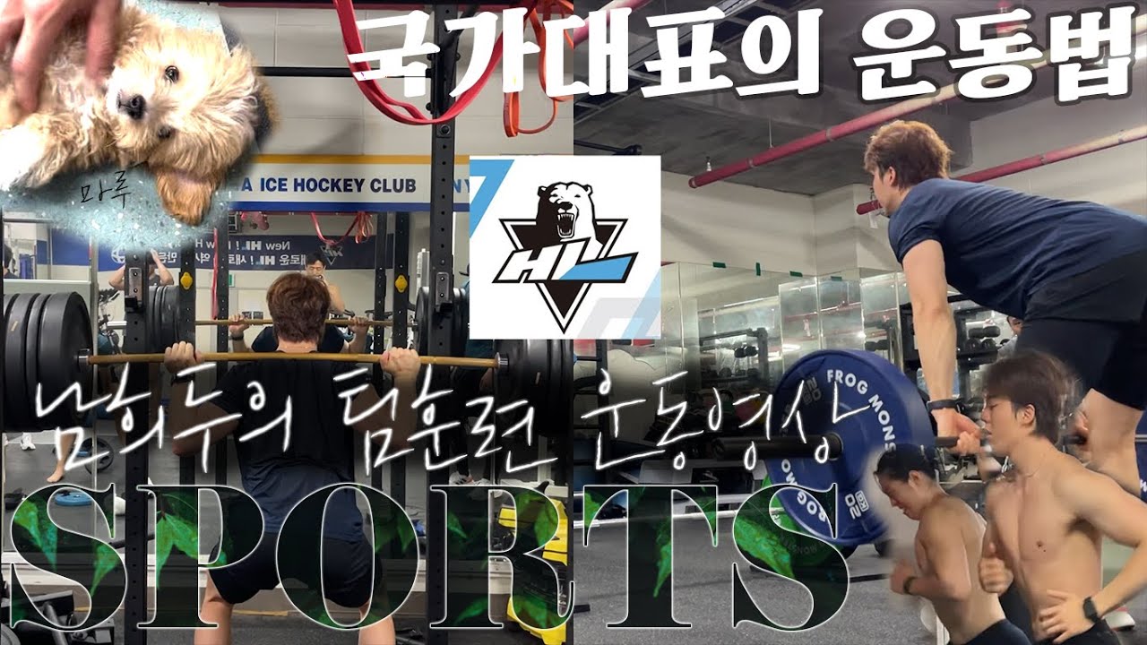 [SUB](아기허스키 노노)아이스하키 국가대표 남희두의 본업 브이로그 / hl안양 팀운동 / 국대운동법 😎🔥