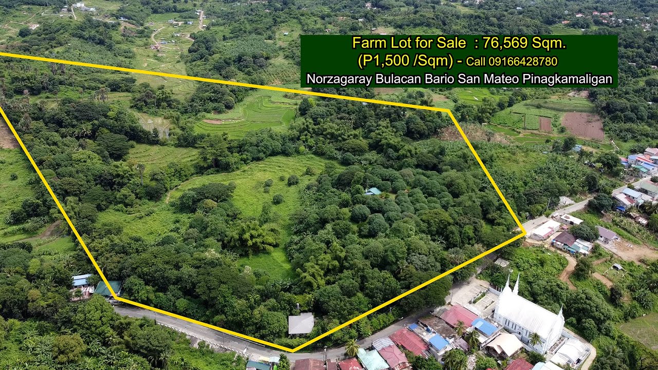 Farm Lot for Sale : 76,569 Sqm (1,600 / Sqm) Norzagaray Bulacan San Mateo Pinagkamaligan