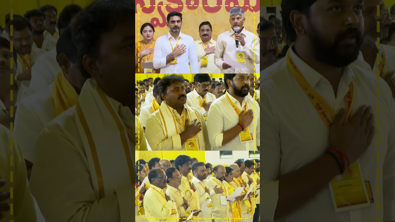 నారా లోకేష్ అనే నేను.. #TeluguDesamParty #ChandrababuNaidu #NaraLokesh