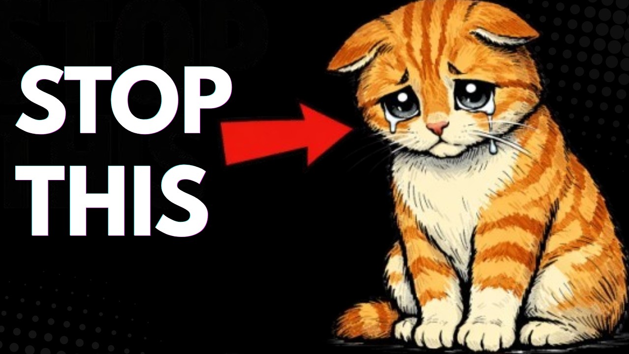 5 Things You Do That Secretly Stress Your Cat