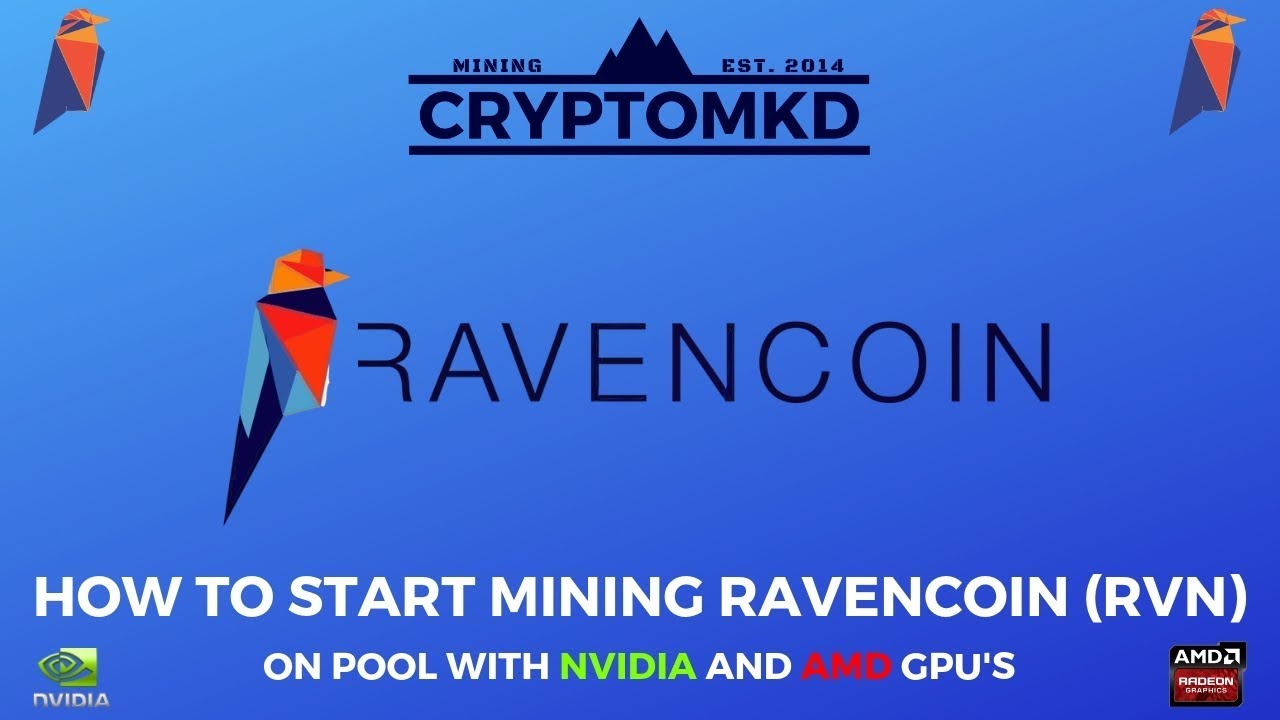 How to start mining Ravencoin (RVN) on pool with NVIDIA and AMD GPU's UPDATED!!!