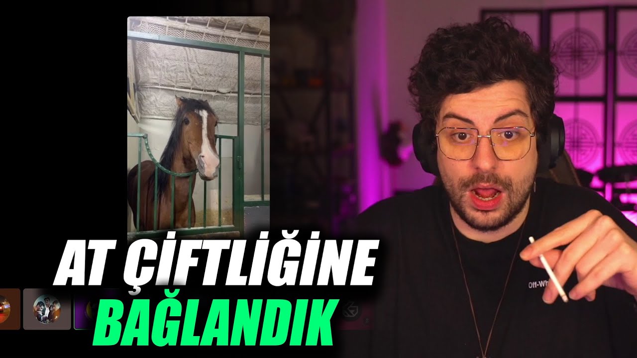 Hype | At Çiftliğine Bağlanıyor