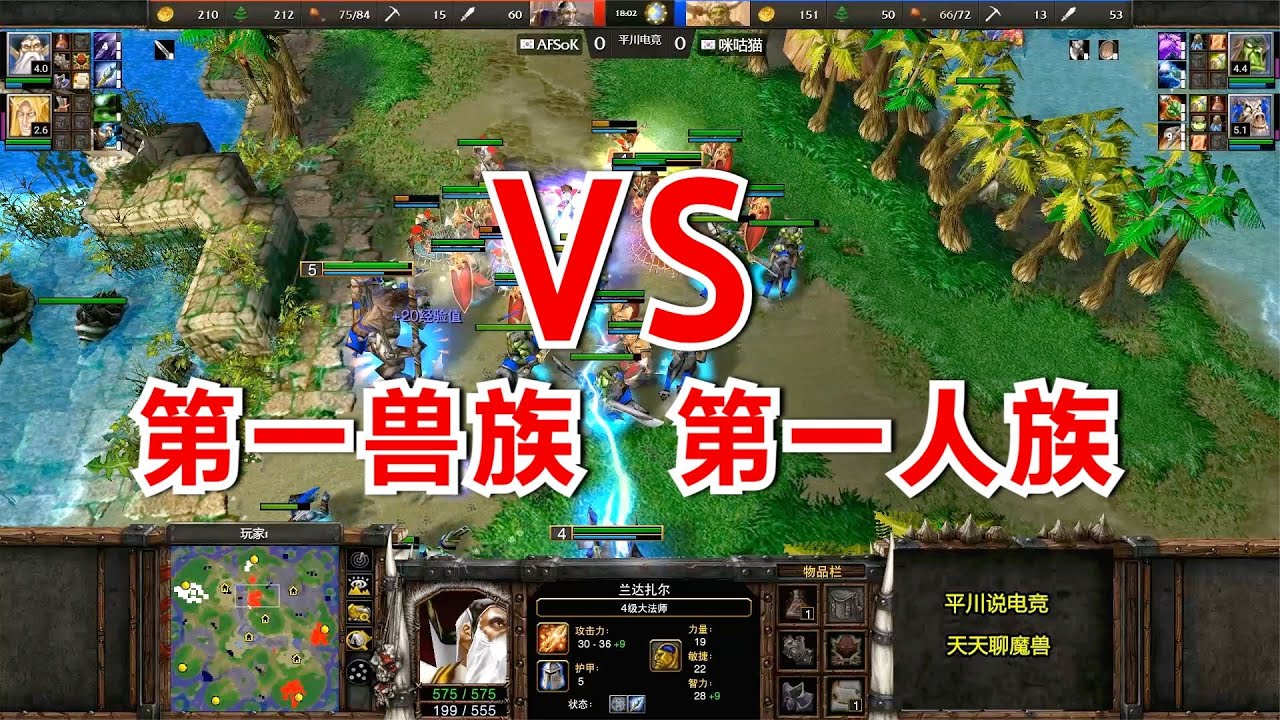 人兽大战，第一兽族 vs 第一人族，Lyn大战Sok ！魔兽争霸3