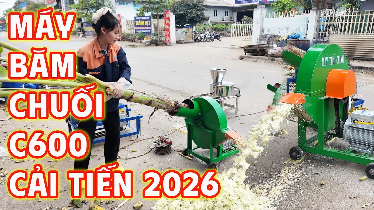 CẢI TIẾN Máy Băm Chuối C600 Bình Quân có gì mới?