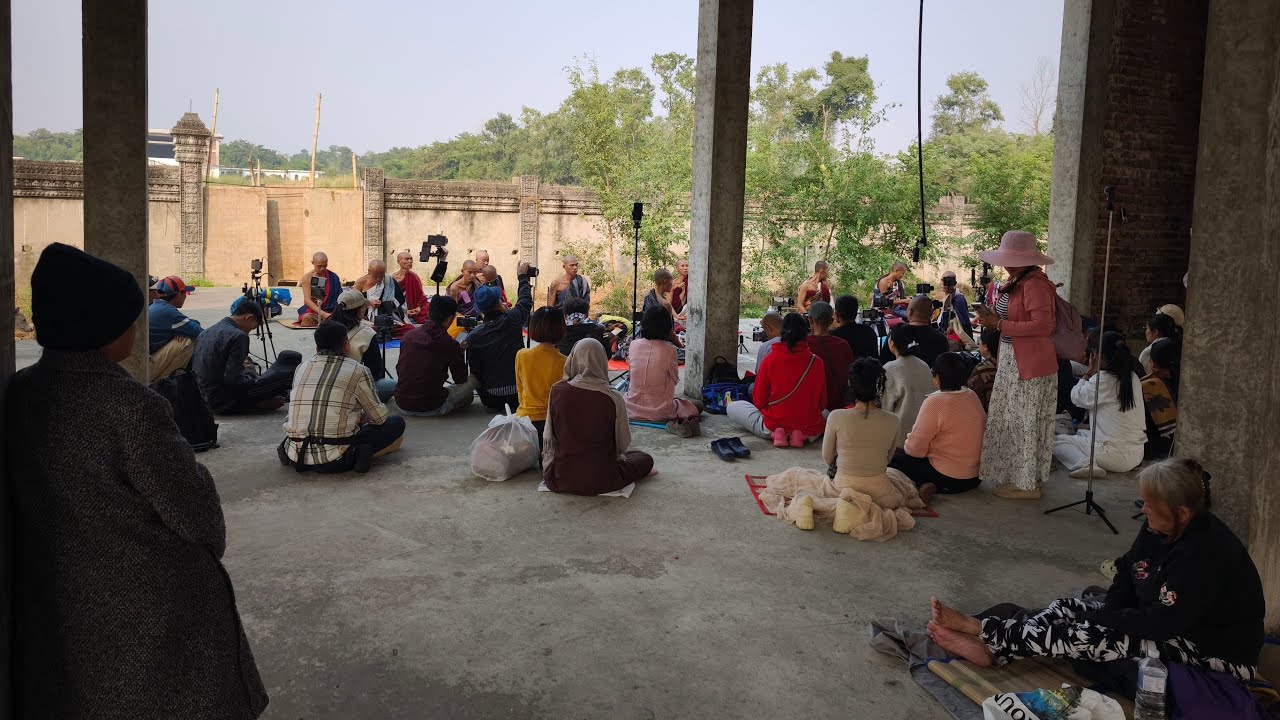 Trực tiếp Năm B&aacute;n Tr&agrave; ... Phản biện 