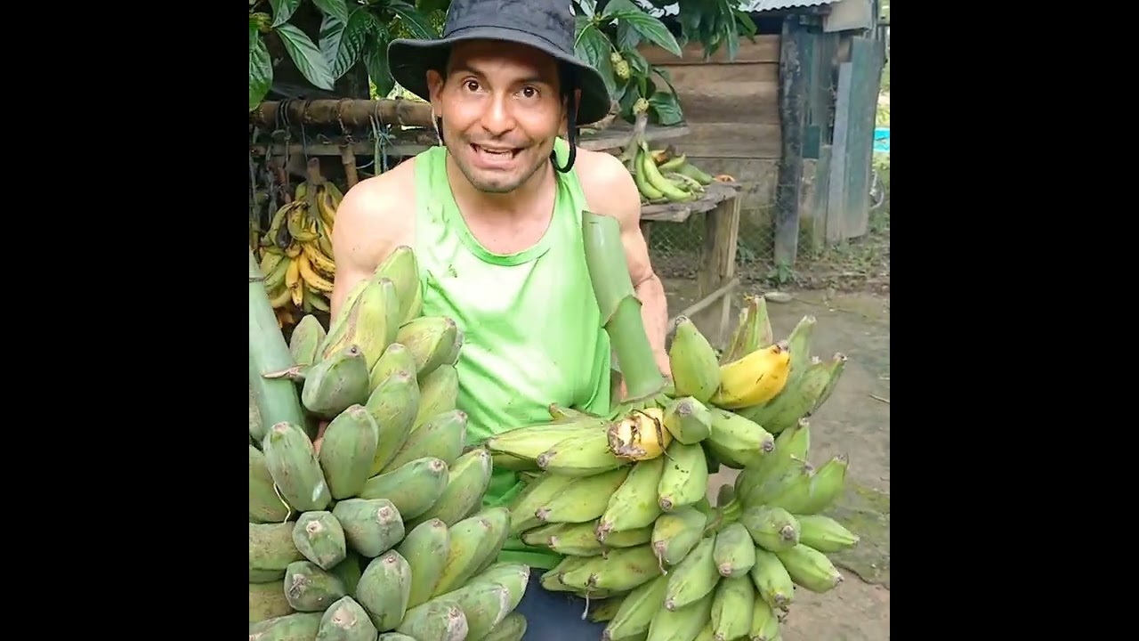 Variedades del plátano
