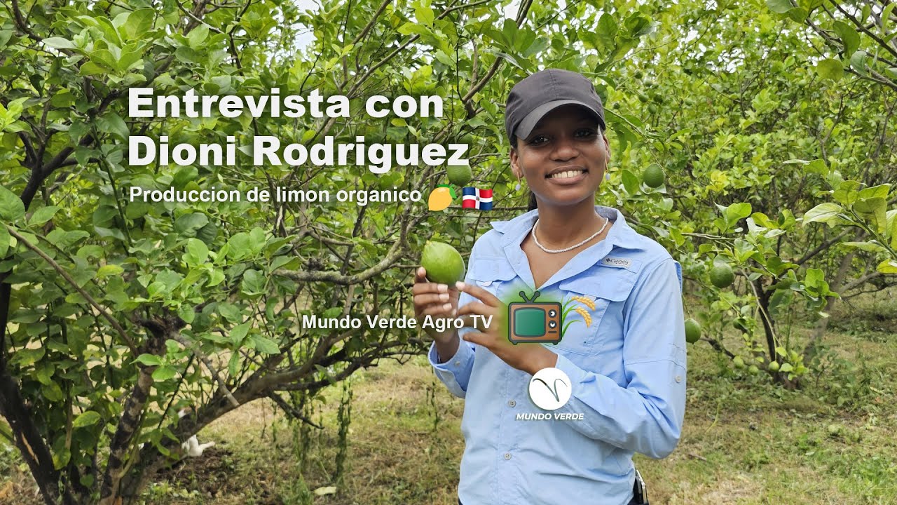 MV Agro TV 📺🌾: Produccion de limones organicos en Republica Dominicana. S02E01