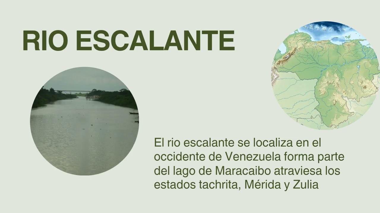 Exposición de 3 año caminitos de luz