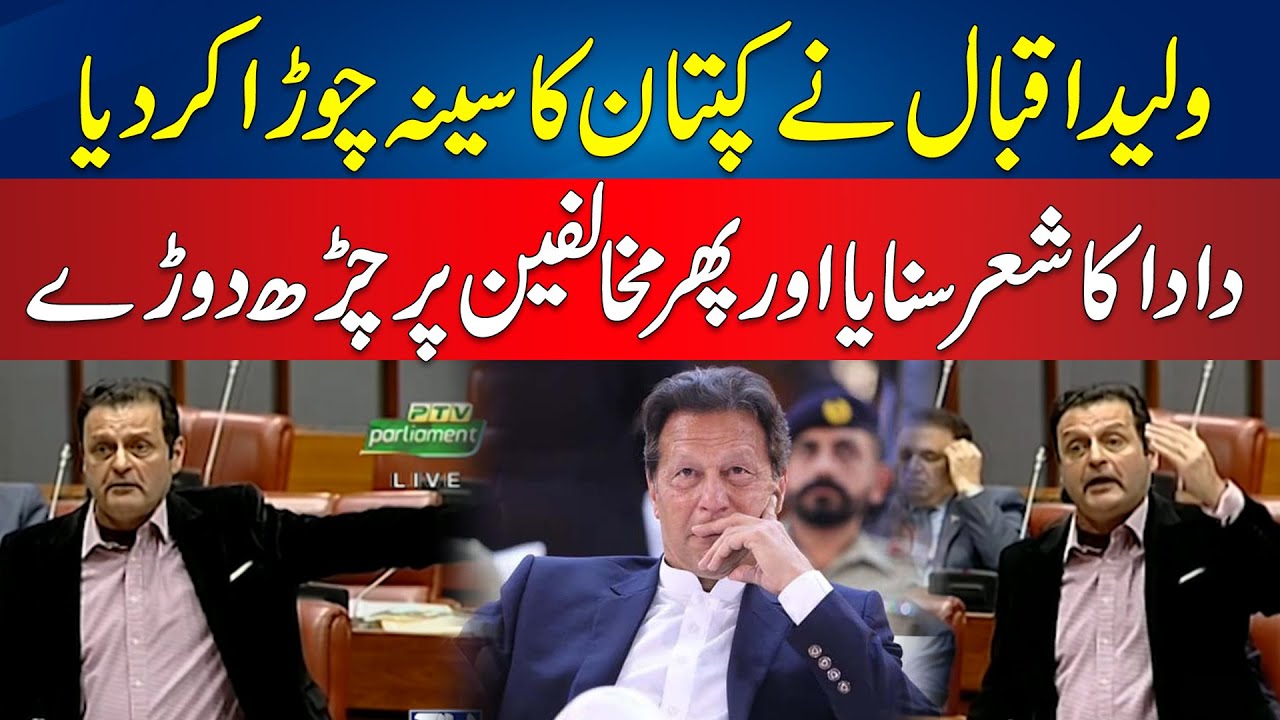 Waleed Iqbal Firey Speech In Senate Session | 24 News HD