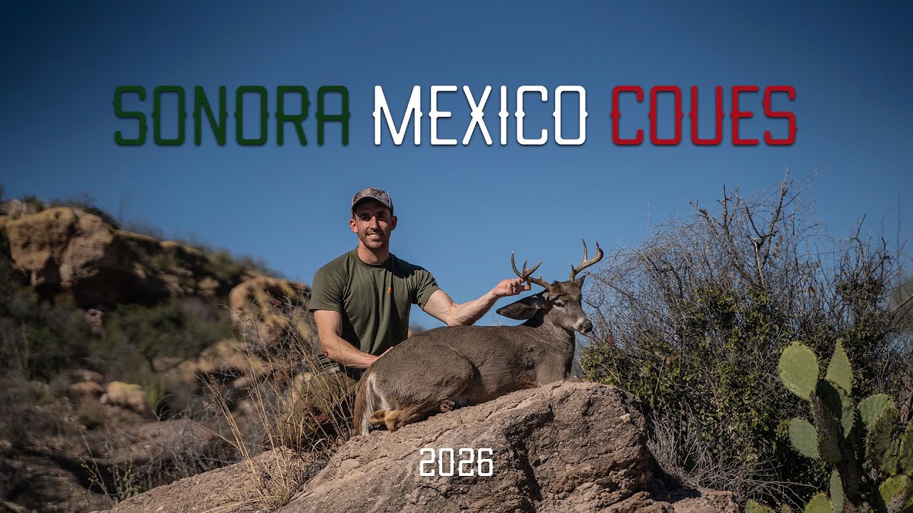 Sonora MX Coues Hunt 2026