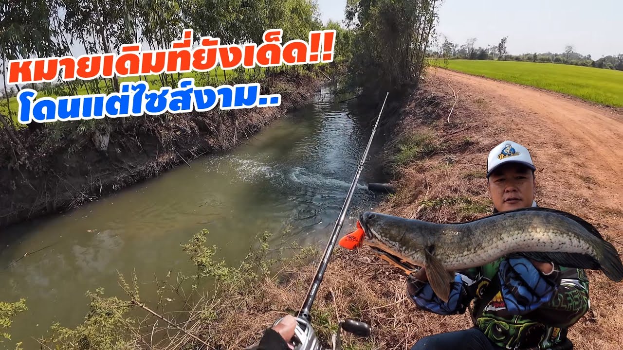 หมายเดิม ที่ยังเด็ีด.. โดนแต่ไซส์งามๆ.. เหยื่อทีเร็กซ์ 
