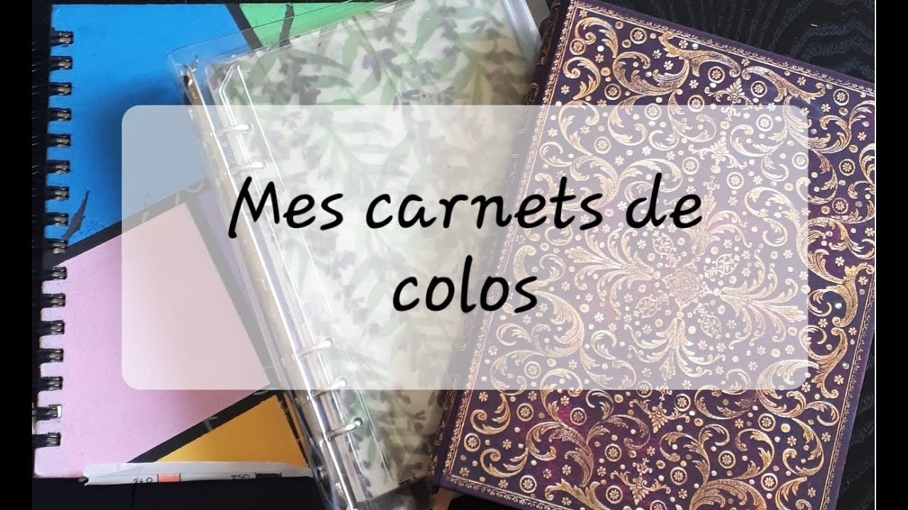Mes carnets dédiés au coloriage: nuanciers, bujo...