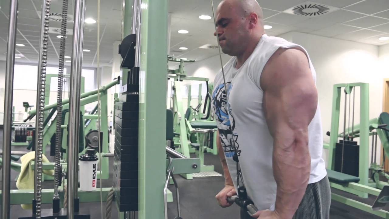 Tr&eacute;nink tricepsů / Triceps workout