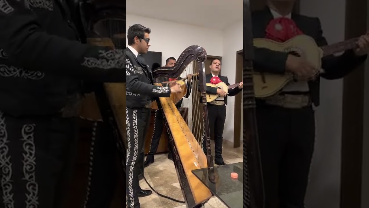 Mariachi Juvenil Camperos León Gto.Cancion /Corazon de Niño/ Piano /Bebu Silvetti