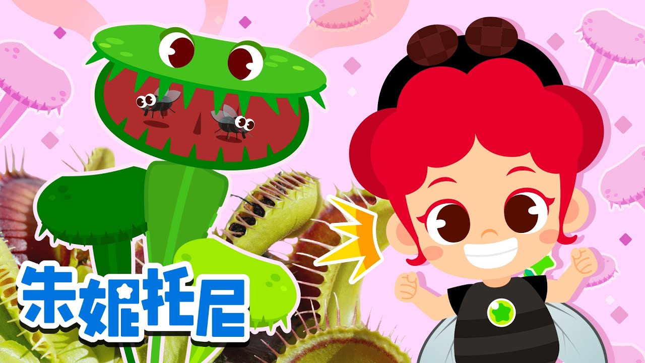 食虫植物 | 趣味探索 | 昆虫博士 | 吃昆虫的植物 | 朱妮托尼儿歌 | Kids Song in Chinese | 兒歌童謠 | 卡通動畫 | 朱妮托尼童話故事 | JunyTony