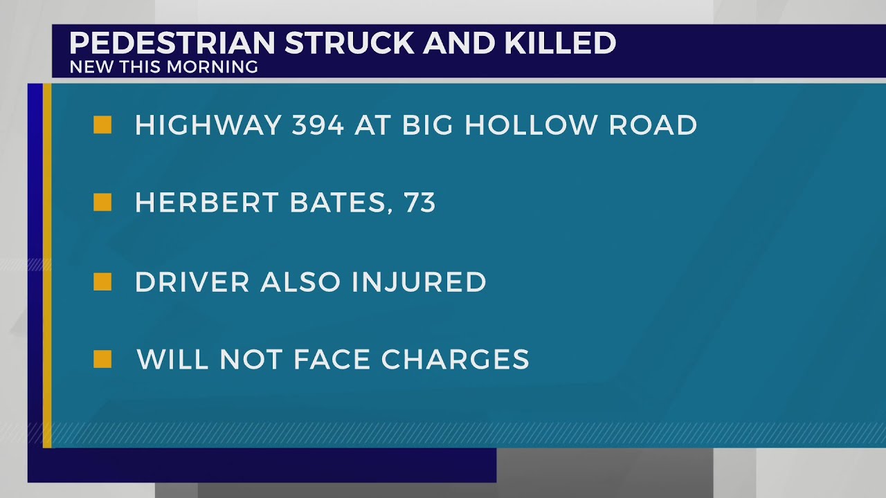 THP: Pedestrian struck and killed in Blountville