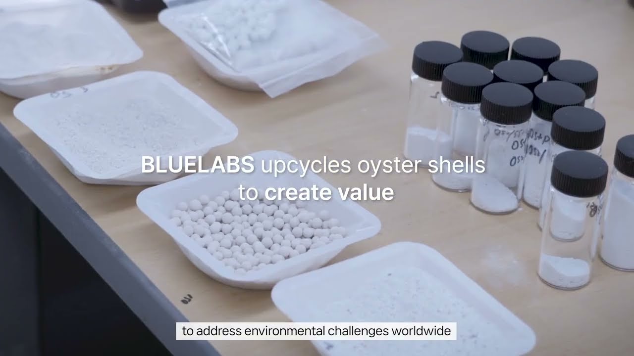 BLUELABS PR Movie (2025)