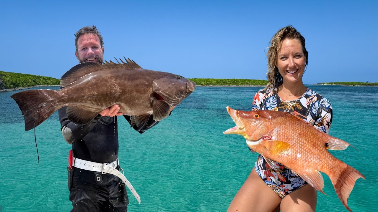 A Week In The Bahamas… Harvesting Fish & Conch