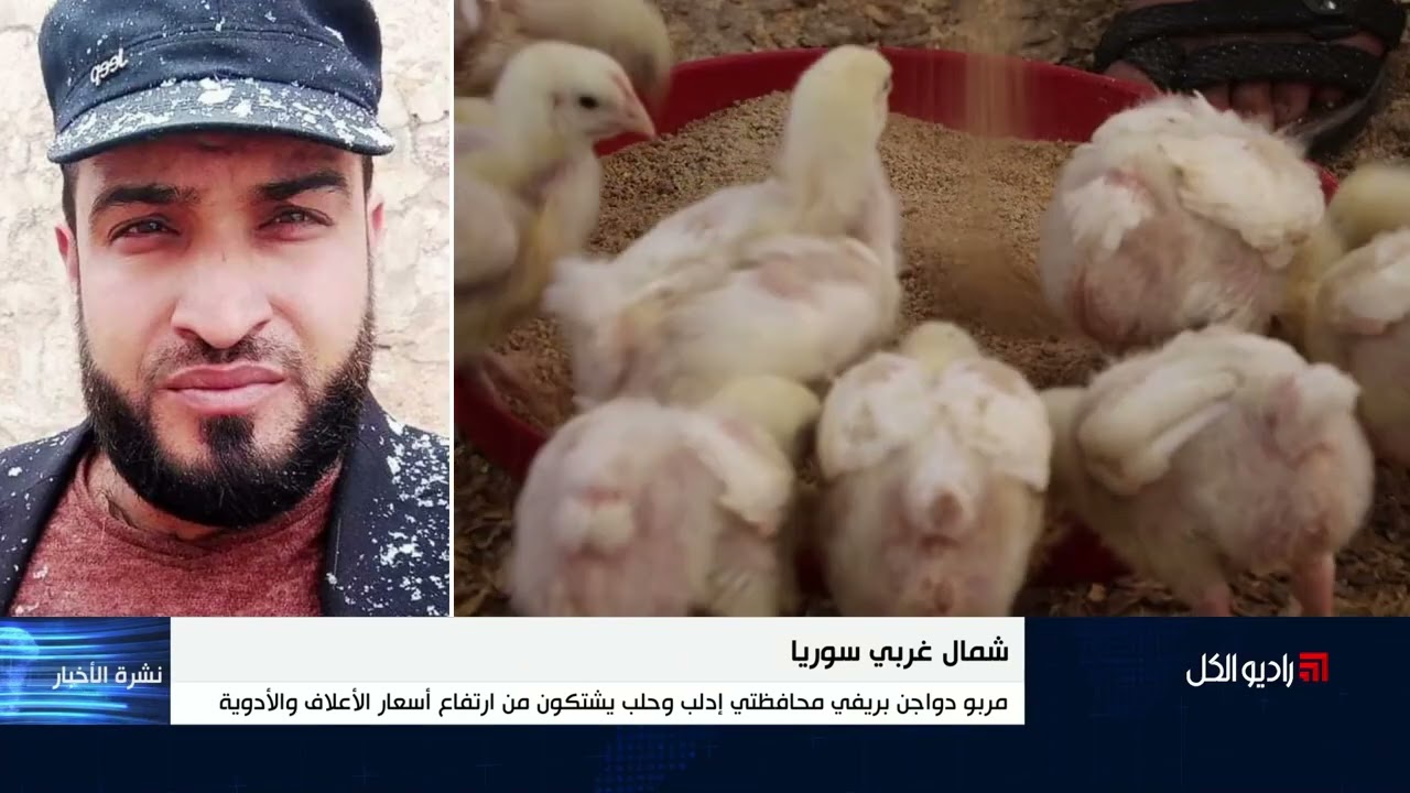 مربو دواجن بريفي محافظتي إدلب وحلب يشتكون من ارتفاع أسعار الأعلاف والأدوية