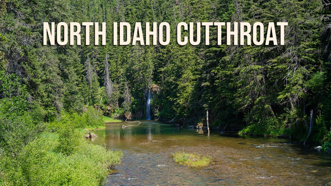America's Most SCENIC Trout Stream for Fly Fishing