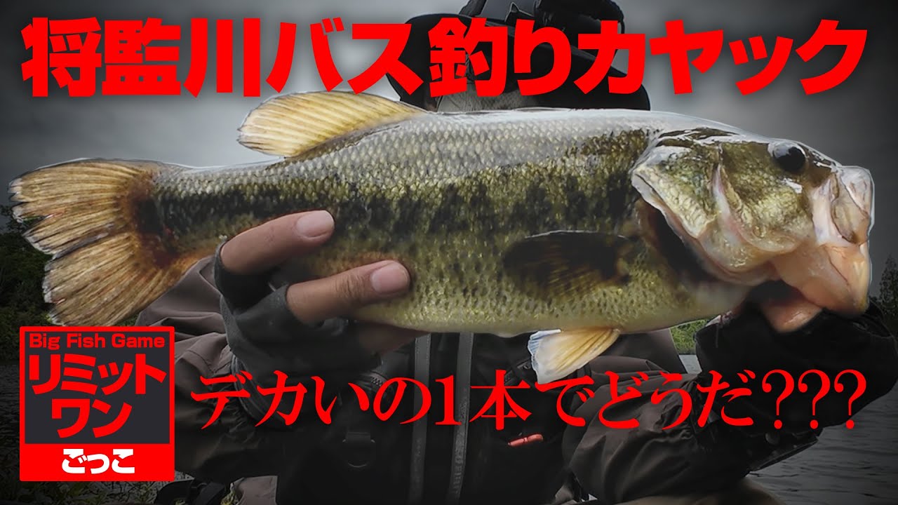 将監川バス釣りカヤック〜リミットワンごっこ【利根川水系】