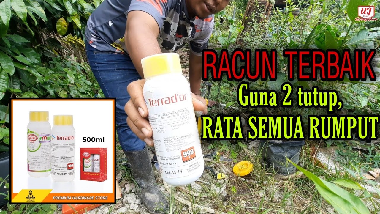 Racun rumput TERBAIK semasa Musim Hujan | SUPER JIMAT