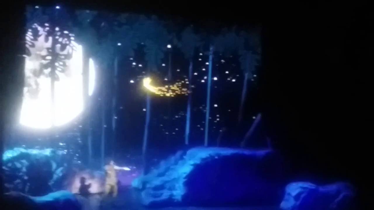 Peter Pan Todos Podemos Volar - Creo en las Hadas