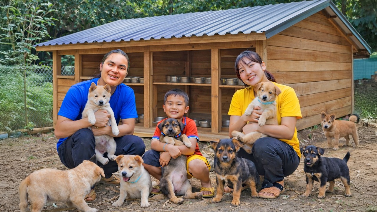 The Process of Building a New Home for the Dogs - Rural DIY Project | SURVIVAL ALONE