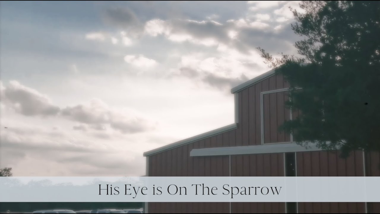 His Eye Is On The Sparrow Lyric Video