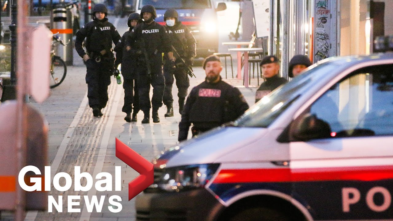 Vienna shooting: At least 1 dead, multiple injured following attack near synagogue