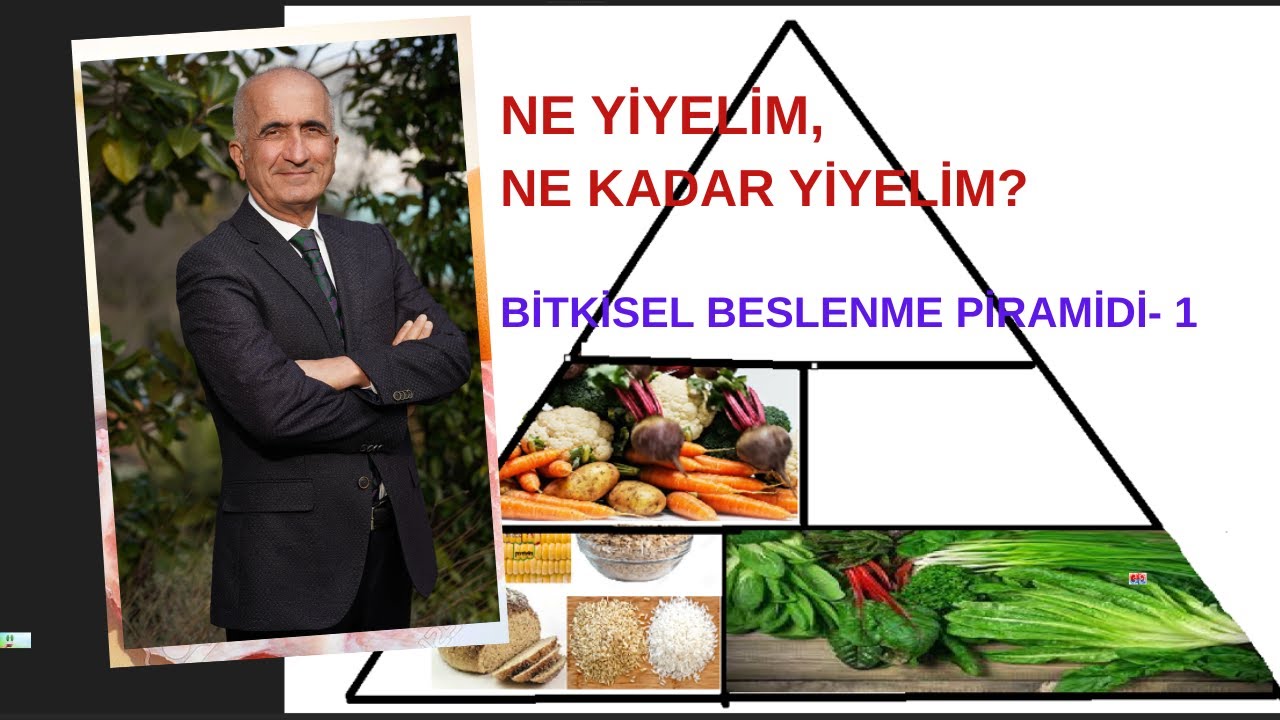 NE YİYELİM, NE KADAR YİYELİM? BİTKİSEL BESLENME PİRAMİDİ  - 1