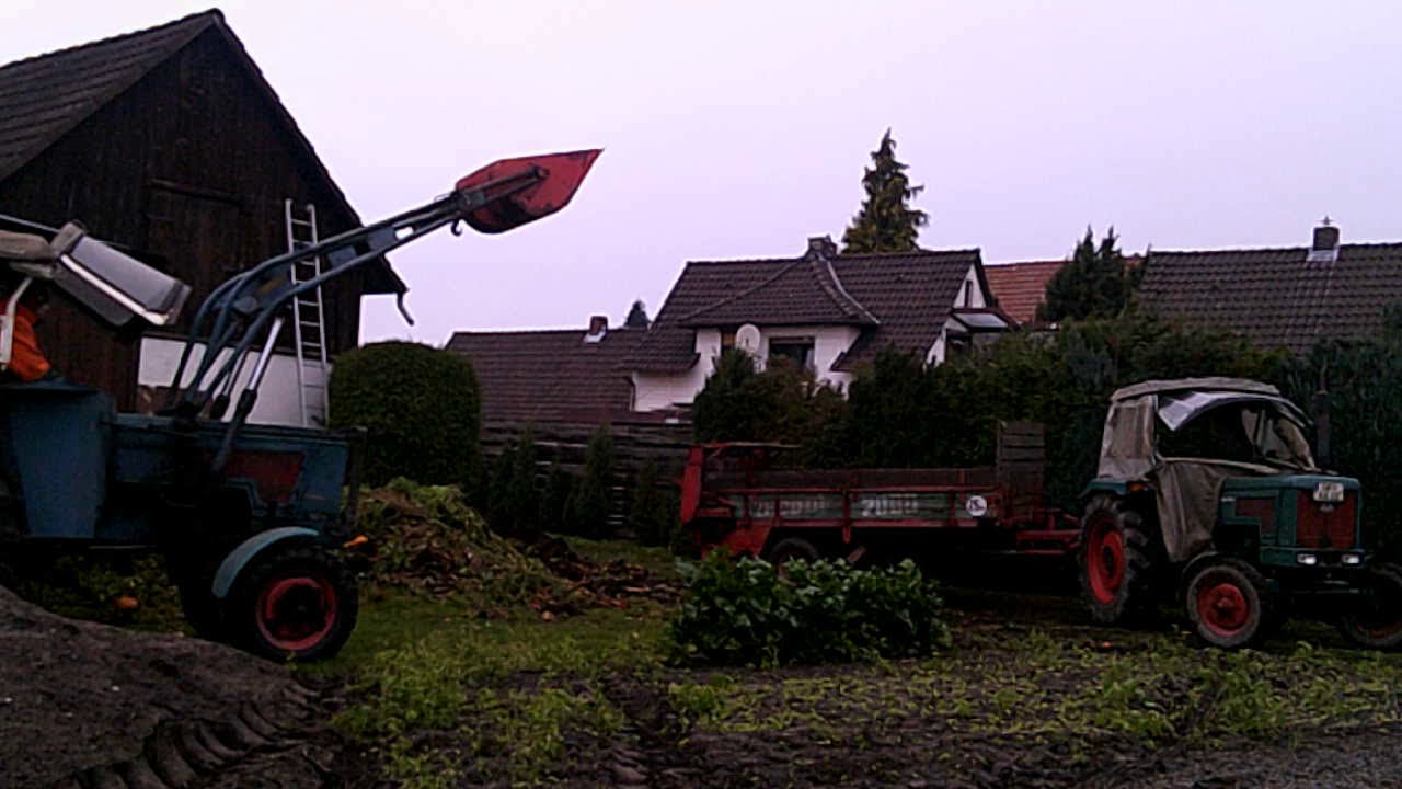 Hanomag Perfekt 401 mit LFE Frontlader beim Kompost aufladen